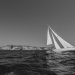 CC2016bd photo Philippe_Pierangeli_DR (86)