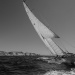 CC2016bd photo Philippe_Pierangeli_DR (88)