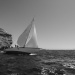 CC2016bd photo Philippe_Pierangeli_DR (101)