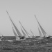 CC2016bd photo Philippe_Pierangeli_DR (121)