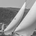 CC2016bd photo Philippe_Pierangeli_DR (125)