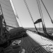 CC2016bd photo Philippe_Pierangeli_DR (133)