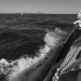 CC2016bd photo Philippe_Pierangeli_DR (145)