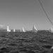 CC2016bd photo Philippe_Pierangeli_DR (149)