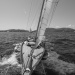 CC2016bd photo Philippe_Pierangeli_DR (150)