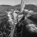 CC2016bd photo Philippe_Pierangeli_DR (152)