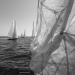 CC2016bd photo Philippe_Pierangeli_DR (156)