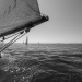 CC2016bd photo Philippe_Pierangeli_DR (161)