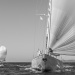 CC2016bd photo Philippe_Pierangeli_DR (175)