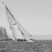CC2016bd photo Philippe_Pierangeli_DR (193)