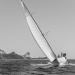 CC2016bd photo Philippe_Pierangeli_DR (198)