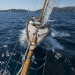 CC2016bd photo Philippe_Pierangeli_DR (151)