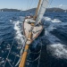 CC2016bd photo Philippe_Pierangeli_DR (153)