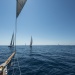 CC2016bd photo Philippe_Pierangeli_DR (159)