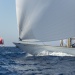 CC2016bd photo Philippe_Pierangeli_DR (173)