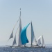 CC2016bd photo Philippe_Pierangeli_DR (183)