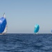 CC2016bd photo Philippe_Pierangeli_DR (185)