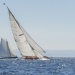 CC2016bd photo Philippe_Pierangeli_DR (195)