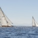 CC2016bd photo Philippe_Pierangeli_DR (196)