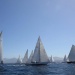 CORSEcorsica_classic_005