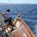 CORSEcorsica-classic-aja-cala-d'orzu017