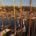 Porto-Vecchio1