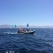 IMG_5007 IMG_5007