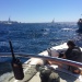 IMG_5208 IMG_5208
