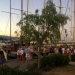 IMG_5311 IMG_5311