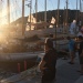 IMG_5498 IMG_5498