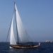 SY Quatre Quart II