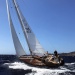 CC 2017 bonifacio YCF photo Michel Lamberti Thibaud Assante DR (12)