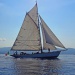 CC 2018 vendredi 24 Ajaccio Bonifacio photoDR (16)