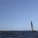 CC 2018 Trophee de la Ville de Bonifacio Antoine Zuria lundi 27 08 photo Thibaud Assante (34)