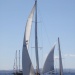 CC 2018 Bonifacio Saint Cyprien photo Françoise Tafani DR (21)