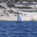 CC 2018 Bonifacio Saint Cyprien photo Françoise Tafani DR (24)