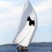 CC 2018 Saint Cyprien Sari Solenzara photo Françoise Tafani DR (14)