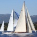 CC 2018 Saint Cyprien Sari Solenzara photo Françoise Tafani DR (18)