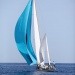 CC 2018 Saint Cyprien Sari Solenzara photo Françoise Tafani DR (21)