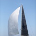 CC 2018 Saint Cyprien Sari Solenzara photo Françoise Tafani DR (35)