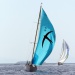 CC 2018 SY Skylark photo Françoise Tafani