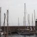 CC 2018 Bastia Macinaggio photo Françoise Tafani DR (4)
