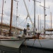 CC 2018 Bastia Macinaggio photo Françoise Tafani DR (7)