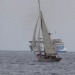 CC 2018 Bastia Macinaggio photo Françoise Tafani DR (19)