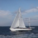 CC 2018 Bastia Macinaggio photo Françoise Tafani DR (54)