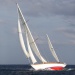 CC 2018 Bastia Macinaggio photo Françoise Tafani DR (61)