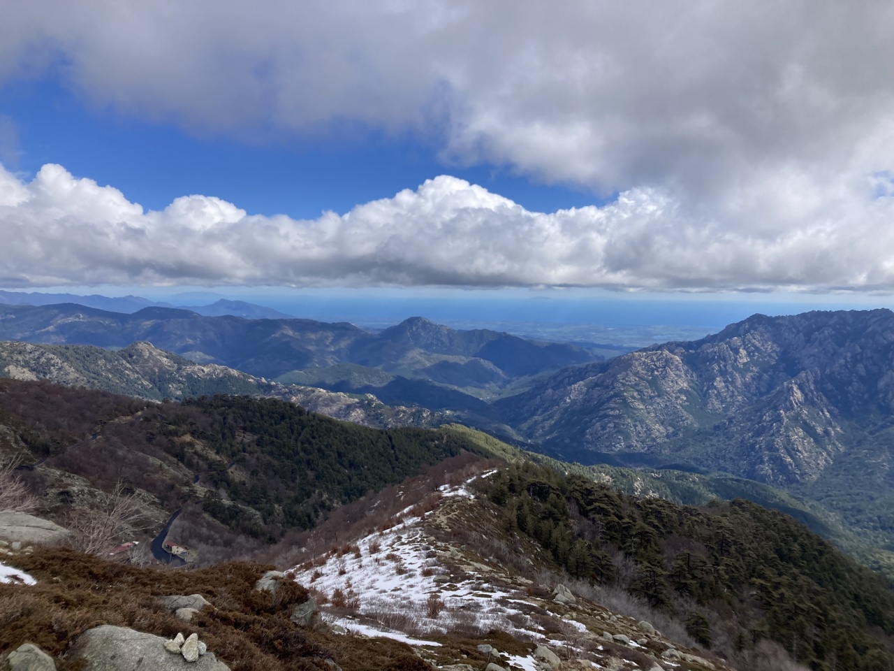 PP 2025 x SY Mister vainqueur photo CCY DR (51)