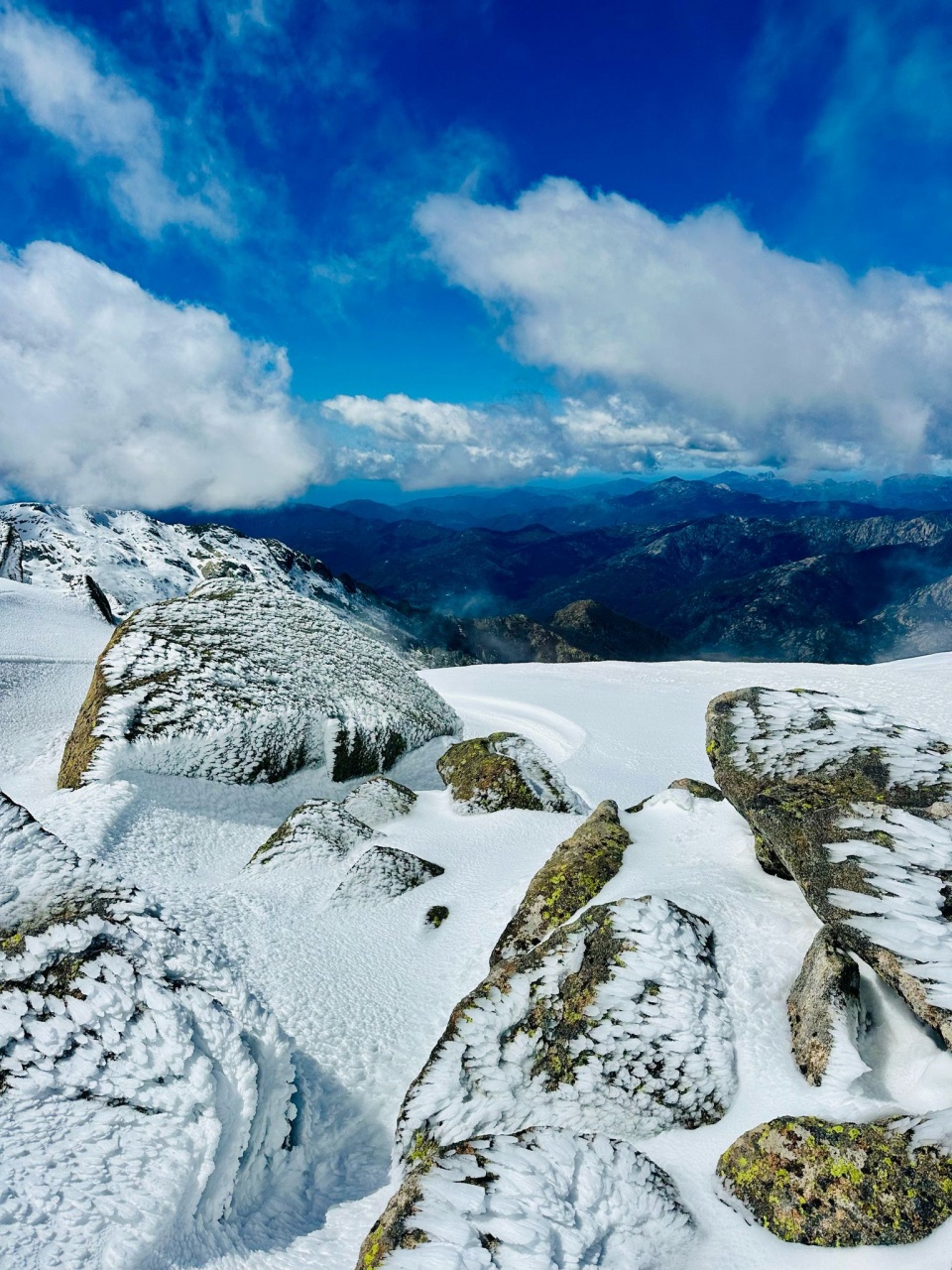 Pourquoi Pas 2025 x SY Mister Fips photo CCY DR (58)