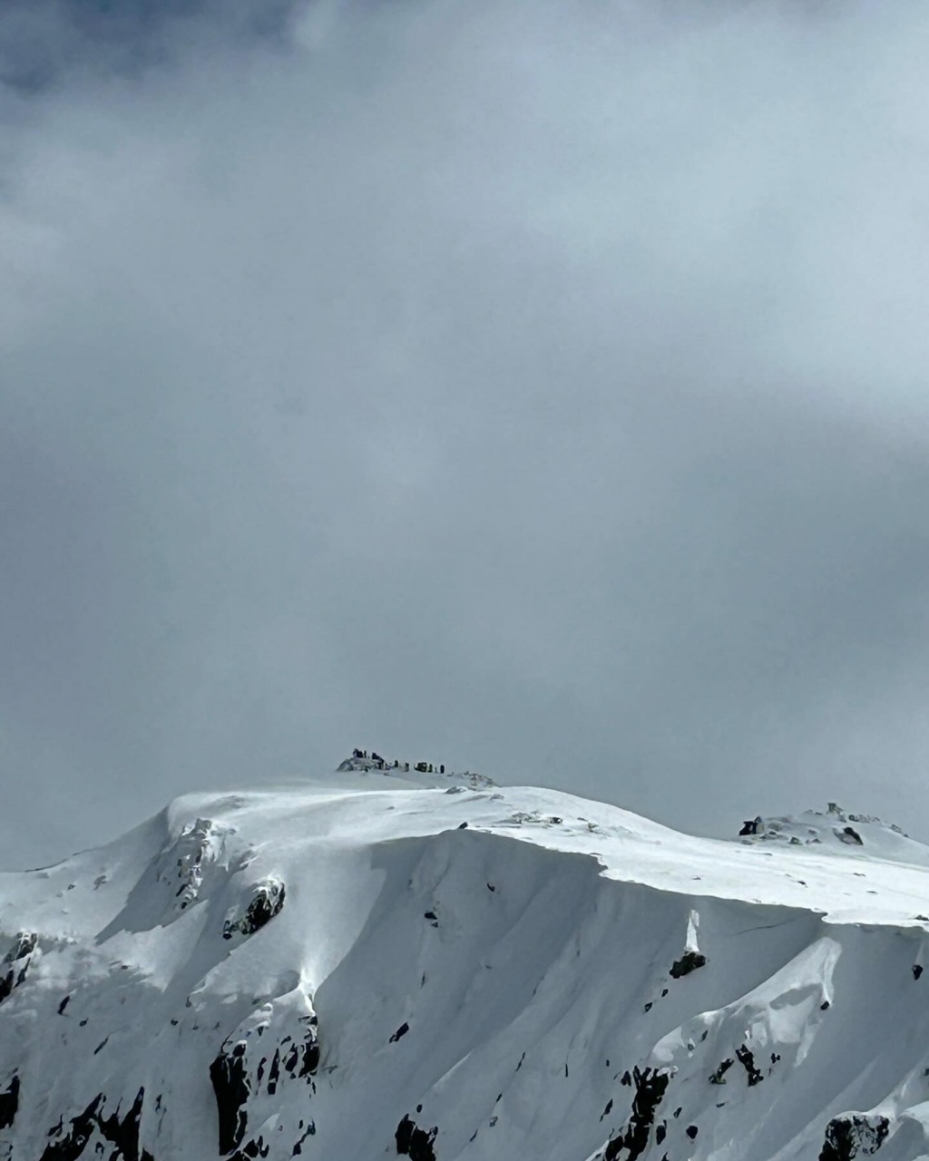 Pourquoi Pas 2025 x SY Mister Fips photo Nico Kenedi CCY DR (30)