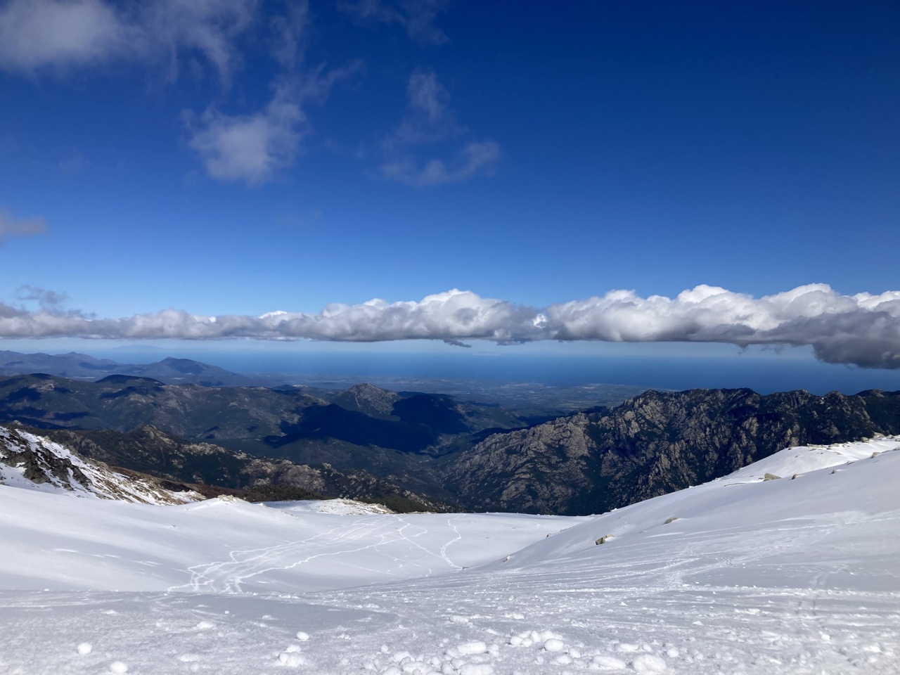 PP 2025 x SY Mister vainqueur photo CCY DR (65)